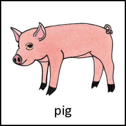 Pig