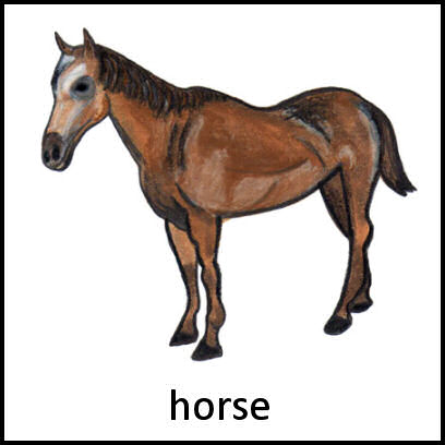 Horse