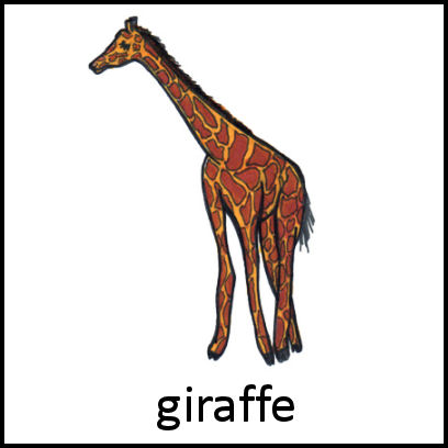 Giraffe