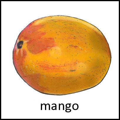 Mango