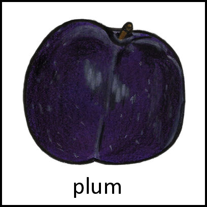 Plum