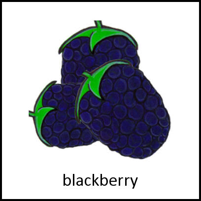 Blackberry