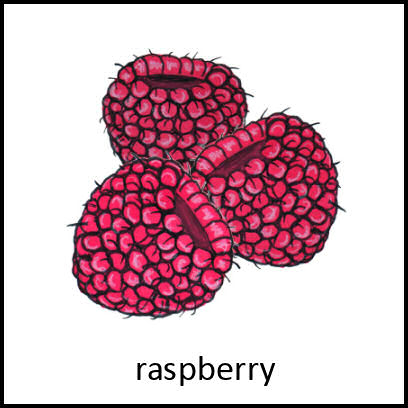 Rasberry