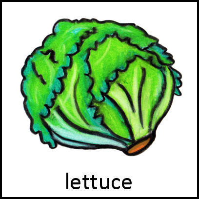 Lettuce