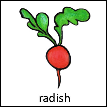 Radish