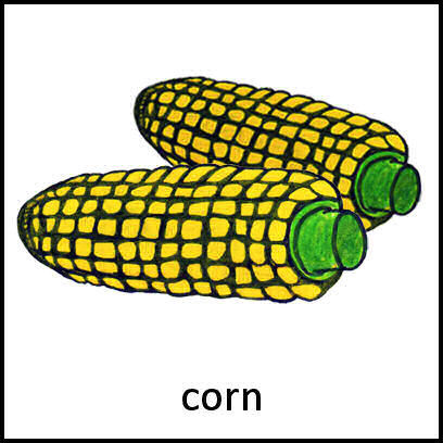 Corn