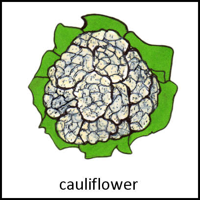 Cauliflower