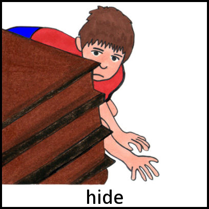 Hide