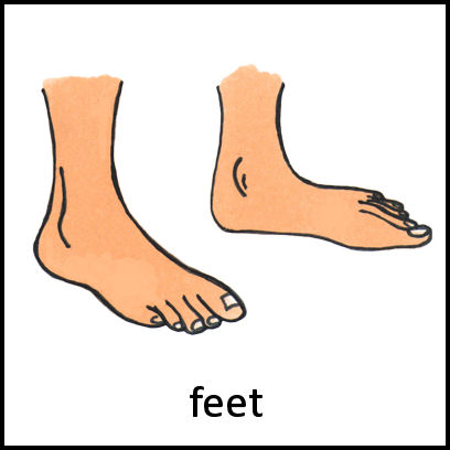 Feet