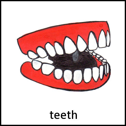 Teeth