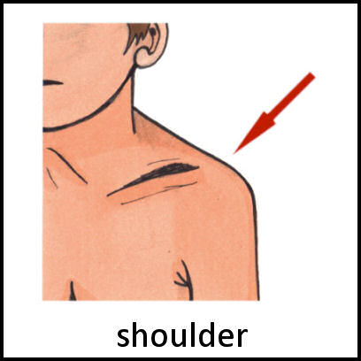 Shoulder