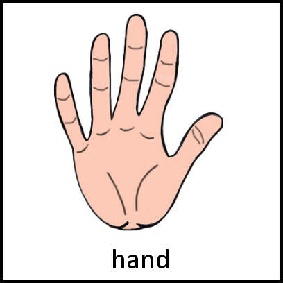 Hand