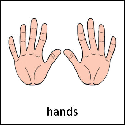 Hands