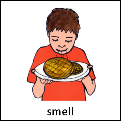 Smell