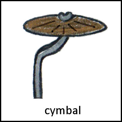 Cymbal