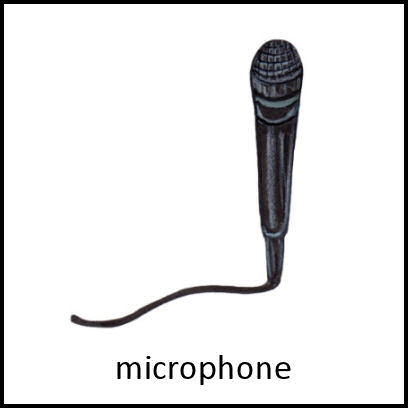 Microphone